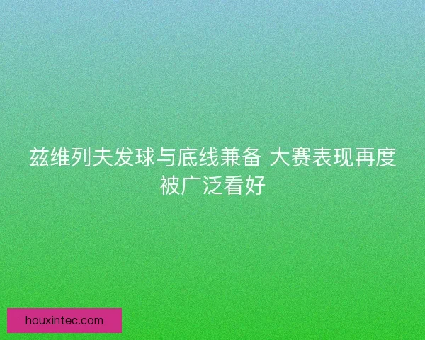 兹维列夫发球与底线兼备 大赛表现再度被广泛看好